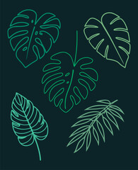 Summer Tropical Leaves Illustration Set
