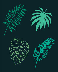 Summer Tropical Leaves Illustration Set