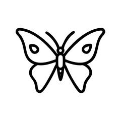 butterfly vector illustration