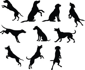 Loyal Companion Dog Silhouette in Nature