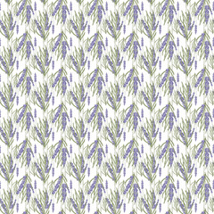 Seamless Pattern with Lavender Floral Design on White Background