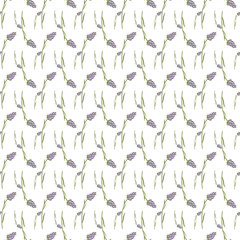 Seamless Pattern with Lavender Floral Design on White Background