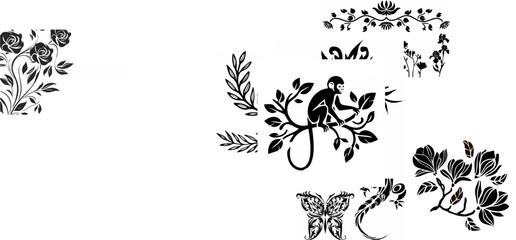 Rose Branch on White Backgrou...