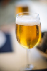 Golden beer in a glass with soft focus creating a warm ambiance