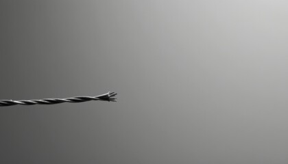 thin wire in close up macro, backlit in black and white abstraction, subject positioned on the left with clear copy space on the right, flat design style.