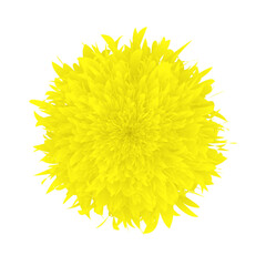Marigold flower vector artwork, Yellow marigold illustrator vector
