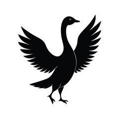 Obraz premium Adobe Illustrator Artwork