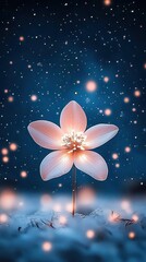 Glowing White Flower in a Dark Winter Night