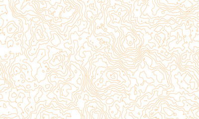Background of the topographic map. Topographic lines, contour background. topo map texture. Dense lines, Background of the topographic map. Topographic lines texture.