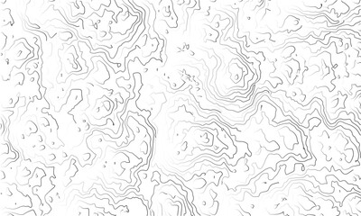 abstract topographic wave line black, white line map texture. geometric discovery mounted location counter grid map background.White wave paper curved reliefs abstract background. The topographic map.
