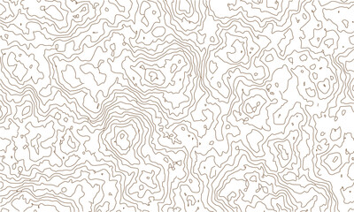 abstract topographic wave line black, white line map texture. geometric discovery mounted location counter grid map background.White wave paper curved reliefs abstract background. The topographic map.