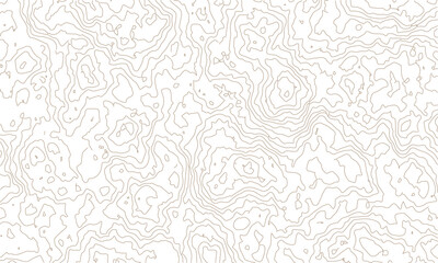 abstract topographic wave line black, white line map texture. geometric discovery mounted location counter grid map background.White wave paper curved reliefs abstract background. The topographic map.
