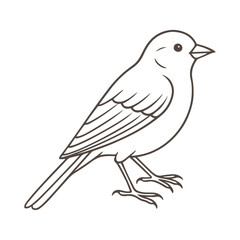 Vector illustration of a black bird or crow silhouette on a branch, perfect for nature and wildlife designs