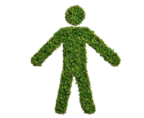 Green figure made of leaves representing eco-friendly concepts on a transparent background, cut out