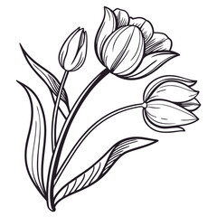 Spring vector flower art on white background. Adobe Illustrator Artwork