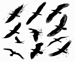 silhouettes of birds and Black Brush Stroke Textures – Handcrafted Vector Art