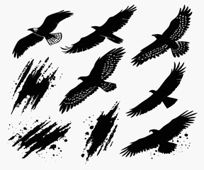 silhouettes of birds and Vector Collection of Black Ink Brush Stroke Lines