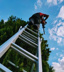 worker on a ladder