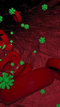 3D animation of uric acid molecules and red blood cells inside a blood vessel.

Hyperuricemia in humans occurs when there is too much uric acid in the blood.
