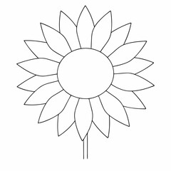 Sunflower simple and minimal line art illustration on white background