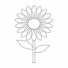 Sunflower simple and minimal line art illustration on white background