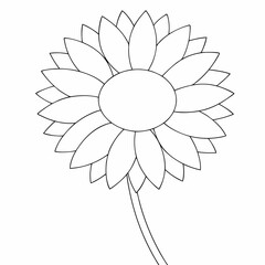 Sunflower simple and minimal line art illustration on white background