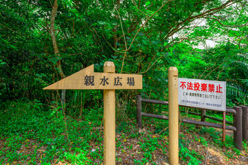  親水広場への木製案内板と緑深い森の風景　石垣島