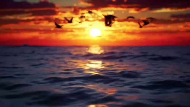 Stunning Ocean Sunset Birds in Flight, Golden Hour Glow