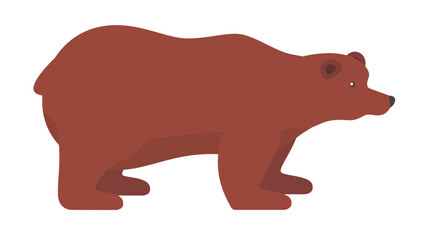 brown bear vector
