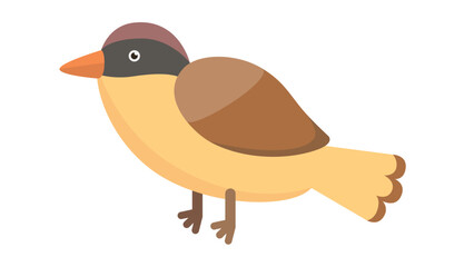 bird illustration