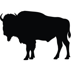 Black silhouette of a majestic american bison standing proud against a white background