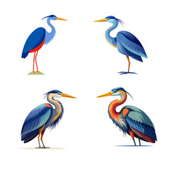 Obraz premium set of birds