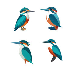 set of colorful birds