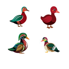 Obraz premium set of birds