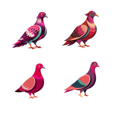 Fototapeta premium collection of birds