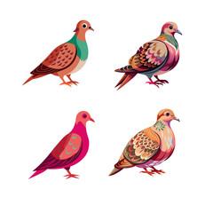 Fototapeta premium collection of birds
