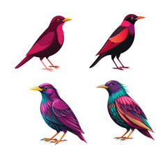 set of birds