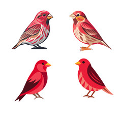 set of birds