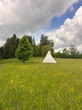 Teepee is in the middle of a field of grass