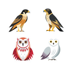 set of cartoon birds