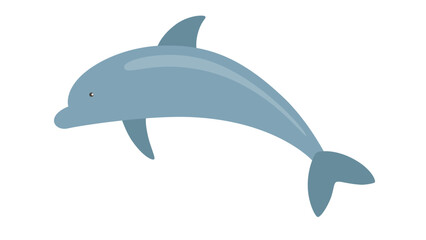 dolphin vector illustration