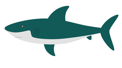 Fototapeta premium shark vector illustration