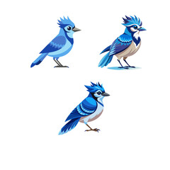 blue bird on a branch