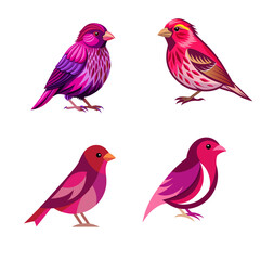collection of birds