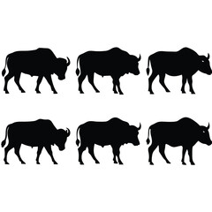Vector illustration of six black silhouetted bison or buffalo animals isolated on white background