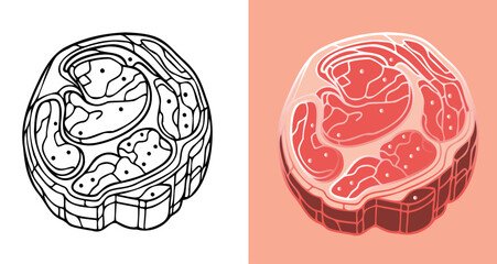Outline and Colored Illustration of a Marbled Raw Meat Cut