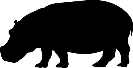 hippopotamus silhouette and line art vector illustration 