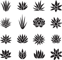 Black silhouette set of succulent plants in various styles, ideal for nature, botanical, and plant-themed designs.