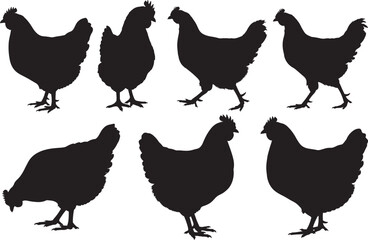 Chicken silhouette vector illustration