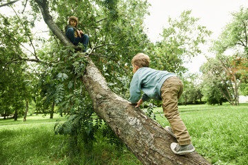 Candid scene of two adventurous young children climbing tree in park or forest, brothers enjoying activities in nature